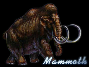 ҧҳ "͸" Mammoth