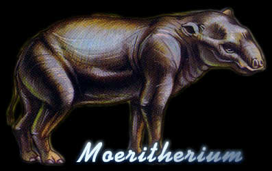 þɪҧҳ Moeritherium