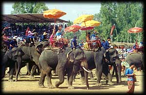 งานช้าง, งานช้างสุรินทร์ บวชนาคและฉลองพระใหม่