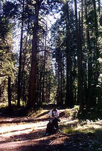 Yosemite National Park